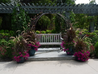 Annuals Garden in July 2017