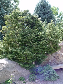 Title Image