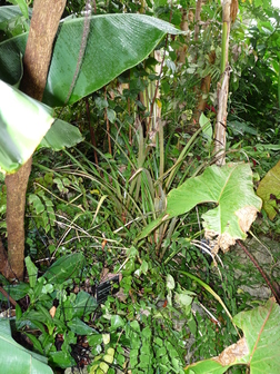 title image