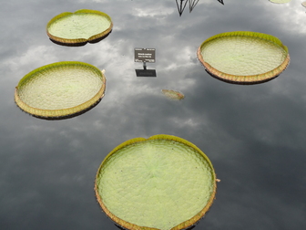 title image