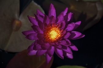 title image