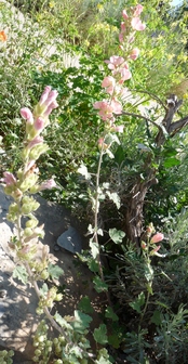 title image