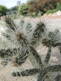 title image