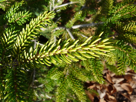 title image