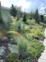 Colorado Garden Show Promenade August 2025