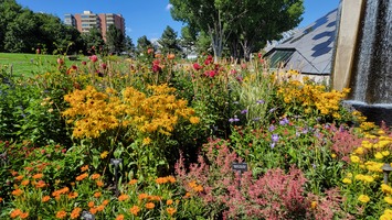 Fountain Beds with Science Pyramid in background, late August 2023