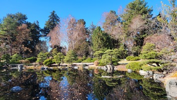 Japanese Garden view over pond in November 2023