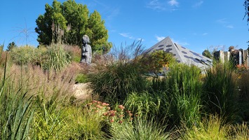 Ornamental Grasses Garden in September 2023