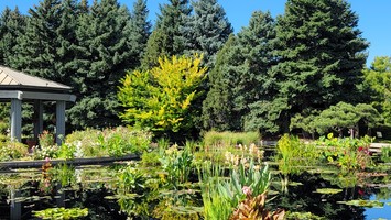 Monet Water Garden in September 2023