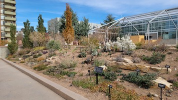 Nexus Garden looking north, November 2024