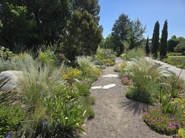 June in the Water-Smart Garden