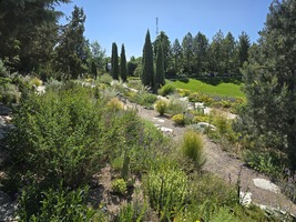 June in the Water-Smart Garden