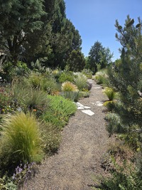 June in the Water-Smart Garden