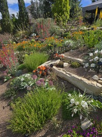 Nexus Garden, May 2025