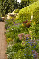 OFallon Perennial Walk prior to redesign (approximately 2010)