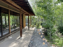 View into garden from front of Tea House