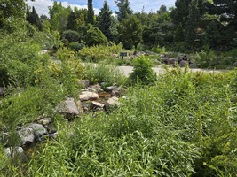 Willow Glade in May 2025