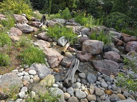 Willow Glade in May 2025