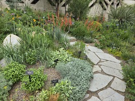 Spring in the Water-Smart Garden