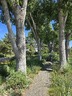 Grant Family Cottonwood Border