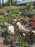Nexus Garden