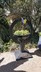 Kaleidoscope in Sensory Garden