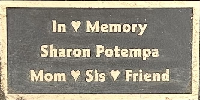 title image