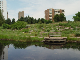 title image