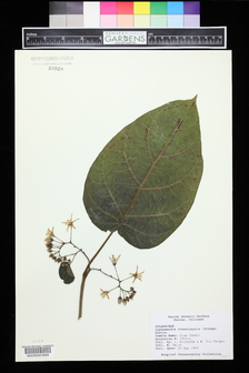 title image