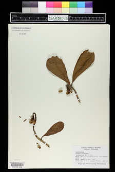 title image
