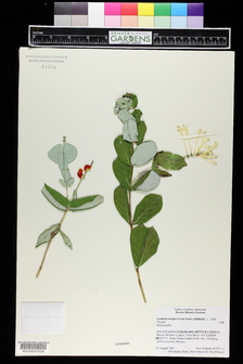 title image