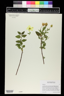 title image