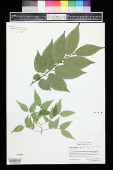 Title Image