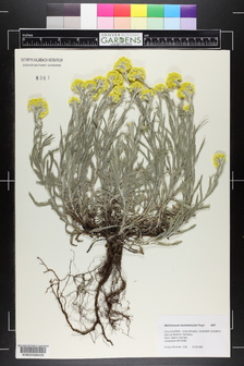 title image
