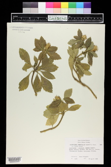 title image