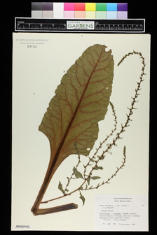 title image