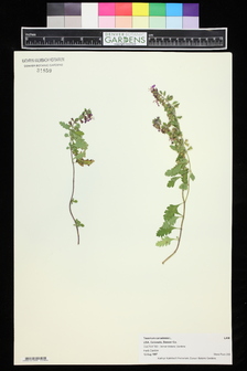title image